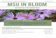 TVJOCMPPN - canr.msu.edu · hosting a Holiday Make & Take event on Thursday, November 21, 2019 from 6:00pm to ... all your holiday gatherings. Tending Holiday Plants Amp up your