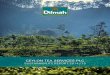 CEYLON TEA SERVICES PLC...CEylON TEa SERvICES plC SUSTaINabIlITy REpORT 2014/15 SECTION 1 INTRODUCTION | 9 1.3 Key highlights 2014/15 HIgHlIgHTS In 2014/15, we have seen a mixed yet