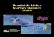 Final Litter Report · Litter Definition This survey focussed on visible litter which is defined as: “Litter is an article of human made or human transported solid waste that has