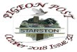October 2018 1starstonvillage.co.uk/starston/wp-content/uploads/...Lombe-Taylor, Alison Miners, Rosemary Steer, Anita Weatherley, Liz Woodley and others. ISSUE EDITOR SUE MOORE. October