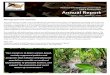 National Wild Pheasant Conservation Plan & Partnerships ...nationalpheasantplan.org/wp-content/uploads/2018/... · Chairman, National Wild Pheasant Conservation Plan Management Board