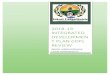 2018-19 INTEGRATED DEVELOPMENT PLAN (IDP) REVIEW · p a g e 0 | 264 2018-19 integrated developmen t plan (idp) review inkosi langaleibalele local municipality