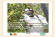 Etude sur L’utilisation des ... - DAAF de La Réuniondaaf.reunion.agriculture.gouv.fr/IMG/pdf/Etude_sur... · Etude sur l’utilisation des produits phytosanitaires en agriculture