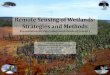 Remote Sensing of Wetlands: Strategies and Methods · Remote Sensing of Wetlands •Wetland mapping challenges • Size and extent: • anada’s boreal forest covers 570 million