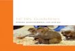 NC3Rs primate guideline v2 - Parsemus Foundation · 2016. 10. 12. · 1 Source of primates 4 1.1 Use of captive-bred primates 4 1.2 Use of wild primates 5 2 Experimental design 6