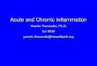 Acute and Chronic Inflammation - Cancer Treatment · PDF file including acute and chronic gouty arthritis, kidney stones, and deposits of uric acid in the skin and other tissues. These