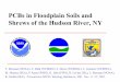 PCBs in Floodplain Soils and Shrews of the Hudson River, NY · Summary • Screening level assessment: 179 soil samples, 43 shrews collected along 20 miles below Ft. Edward • Most