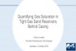 Quantifying Gas Saturation in Tight Gas Sand Reservoirs ... … · • Alternating very low-porosity sandstone and gas-filled zones, within a tight limestone matrix. • Mixed salinity