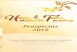 Prospectus 2018...lessons for every Muslim’, printed by Darussalam.'Tawheed for children' (Level 1 and Level 2) by Dr. Saleh Saleh. ‘Stories of the Prophets’, by Ibn Kathir printed