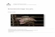 Beteendestörningar hos gris - Archive · 2013. 4. 25. · naturlig miljö blir mindre rädda, mer aktiva, leker mer, uppvisar en större repertoar av beteenden samt färre beteendestörningar