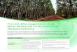 Forest Management and Raw Material Procurement …Framework for Promoting Raw Materials Procurement Management The Nippon Paper Group established its Philosophy and Basic Policy Concerning