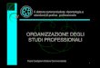 ORGANIZZAZIONE DEGLI STUDI PROFESSIONALImy.liuc.it/MatSup/2015/A86043/slides_org_studio 2015.pdf · Studio professionale individuale Studio professionale associato ... Organizzazione