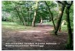 Newcastle under Lyme Green Infrastructure Strategy Draft for … · 2016. 10. 20. · playing fields, woodlands, street trees, allotments and private gardens. It also includes the