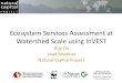 Ecosystem Services Assessment at Watershed Scale using InVEST · 2016. 6. 21. · Ecosystem Services and Tradeoffs • Ecosystem services are the goods and benefits society derives
