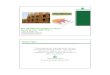 MN WoodSolutions BCD220-1-FireResistance Design-1HR ......designs in Section 721designs in Section 721 4. Calculation of fire-res istance per Section 722 5. Engineering analysis based