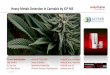 Heavy Metals Detection by ICP-MS · 2019. 4. 2. · Heavy Metals Detection in Cannabis by ICPMS -03/15/2019. 1. Dr. Iouri Kalinitchenko. Head of ICPMS R&D, Analytik Jena, Germany