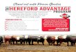 Increase added market power and brand recognition with feeder … · 2018. 2. 6. · Stand out with Proven Genetics Increase added market power and brand recognition with feeder cattle