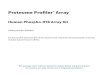 New Human Phospho-RTK Array Kit · 2020. 8. 19. · Human Phospho-RTK Array Kit Proteome Profiler TM Array This package insert must be read in its entirety before using this product
