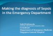 Making the diagnosis of Sepsis in the Emergency Department Severe Sepsis: A Significant Healthcare Challenge Major cause of morbidity and mortality worldwide Leading cause of death