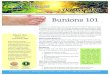 Bunions 101 - Kevin J. Powers, DPM · 2017. 2. 6. · for bunions that do not hurt; with proper preventive care, they may never become a problem. Bunion pain can be successfully managed