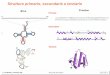 Primaria Secondaria Terziariabiochimica.unipr.it/biocomp/predizione_struttura.pdf · L’RNA a doppio filamento forma eliche A A differenza del DNA, i doppi filamenti di RNA e gli