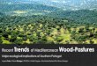 Oak ® eGeneration · Trends of Mediterranean Wood-Pastures Quercus suber and Quercus rotundifolia Main goal Understanding the structural dynamics of Mediterranean evergreen oaks