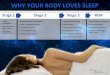 WHY YOUR BODY LOVES SLEEP Stage 1 Easily Awakened Muscles Relax, May Twitch Slow Eye ... · 2019. 10. 18. · May Twitch Slow Eye Movements Stage 2 Breathing, Heart Rate Regular Body