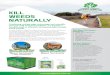 KILL WEEDS NATURALLY - Contact Organics · weed control. Contact Organics offers the Safe Series Weed Terminator Herbicides: HomeSafe and LocalSafe. Our Weed Terminators are natural