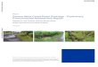 Samoa West Coast Road Drainage - Preliminary Environmental ...€¦ · Samoa West Coast Road Drainage - Preliminary Environmental Assessment Report Beca // 19/01/2012 6060080 // NZ1-2616861-9
