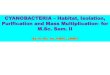 CYANOBACTERIA Habitat, Isolation, Purification and Mass Multiplication …cmsc.ac.in/bot33.pdf · 2020. 4. 24. · production of food, feeds, fuels, and chemicals Production of biomass