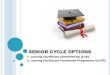 SENIOR CYCLE OPTIONS - :: ST. MARY'S HIGH SCHOOL · Leaving Certificate in the hope of getting more points, it is too much pressure and too time consuming. Stats show that when students