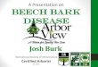 A Presentation on Beech Bark Disease€¦ · • Tree Climbing, Fall Protection & Work Positioning • Technical Tree Falling & Cutting • Production Tree Removal & Rigging • Chainsaw
