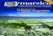 Un documentario sullaStampa autoprodotta nell’Abruzzo interno MARSICA/siteMarsica 2007-11.pdf · Questa edizione stampata di SITe.it, dedicata interamente al tema del-l’informazione