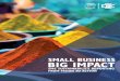 Small business, big impact - sustainability reporting from vision to … · 2020. 6. 10. · SUSTAINABILITY AND REPORTING? The business case for integrating sustainability into operations