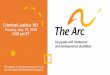 CRIMINAL JUSTICE SYSTEM 101 - thearc.orgthearc.org/wp-content/uploads/2020/09/Criminal-Justice-101-Slides.p… · Criminal Justice 101 Tuesday, May 19, 2020 2:00 pm ET This webinar