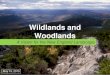 Wildlands and Woodlands · Managed Woodlands • 63% of the New England landscape or ~27 million acres. • 90% of the conserved forestland in the region. • Provide clean water,