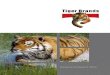 Tiger Brands Integrated Report 2011 · 2019. 6. 27. · Tiger Brands Limited Integrated Report 2011 02 Non-financial indicators 2011 2010 2009 2008 2007 Permanent staff number (see