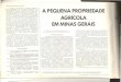 A PEQUENA PROPRIEDADE - · PDF file A PEQUENA PROPRIEDADE EM MINAS GERAIS As propriedades de menos de 100ha em Minas Gerais representavam 81,46% das propriedades agricolas rnineiras