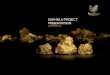 ELIKHULU PROJECT PRESENTATION · • Activities completed as of 1December 2016: › Background information document (bid) - was issued to the Department of Mineral Resources › Pre-application