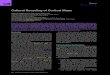 Cultural Recycling of Cortical Maps€¦ · Neuron Review Cultural Recycling of Cortical Maps Stanislas Dehaene1 ,2 3 4 * and Laurent Cohen1 ,2 5 6 1INSERM, Cognitive Neuro-imaging