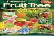 AWSON’S Free Fruit Tree gaZiNe! Guide€¦ · Granny Smith, Gala, Lady Williams, Red Fuji and Sundowner. Dwarf Red Fuji: Also known as Naga FU 2. Medium to large sized fruit with