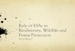 Role of EIAs in Biodiversity, Wildlife and Forest Protectioniced.cag.gov.in/wp-content/uploads/Role-of-EIAs-in-Biodiversity-and... · Rehabilitation Environment Clearance Conditions-Hill