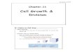 Cell Growth & Division - Bay Port Biology - Home€¦ · Cell Growth & Division I. Limits to Cell Size > DNA Overload – If cells get too big, don't have enough DNA to control the