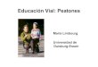 Educación Vial: Peatones · Educación de peatones en Curitiba - Brasil. Educación vial en Chile. Educación peatonal en España. Educación vial en Japon. Educación vial en Inglaterra