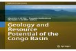 Neoproterozoic to Lower Paleozoic Sequences€¦ · Paleozoic. The ﬁrst inversion was attributed to late stages ofthePan-AfricanorogenyinCentralAfrica,andthesecond inversion phase