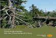 2011 - 2020 Nationalparkplan f£¼r den Nationalpark Harz 1.3.3 Geologie und B£¶den 20 1.3.4 Klima 21