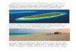 SONEVA FUSHI Igazi 6 csillagos - MALDÍV SZIGETEK · Kirándulások: Lakott sziget hajós kirándulás dhonival: 90 USD/f ő, Naplemente delfin néz ő hajós kirándulás motoros
