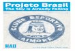 ProjetoBrasil€¦ · oration with the Meyer Riegger Gallery – is showing the reproduced logos as well as other works by Paulo Nazareth in the exhibition “Genocide in Americas”
