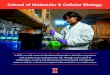 School of Molecular & Cellular Biologymcb.illinois.edu/MCB_Visitors_Brochure.pdf · School of Molecular & Cellular Biology In MCB, we seek answers to fundamental questions about how