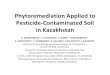 Phytoremediation Applied to Pesticide-Contaminated Soil in ... · Phytoremediation Applied to Pesticide‐Contaminated Soil in Kazakhstan A. NURZHANOVA1*, P. KULAKOW2, E. RUBIN3,